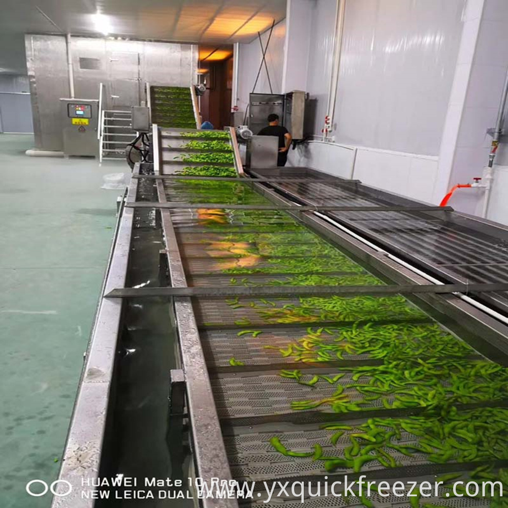 Fluidized Tunnel Freezer For Beans